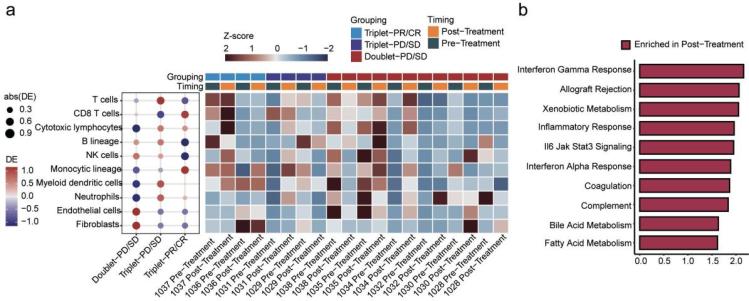 890c25c6e7f0d350510341d3883c598