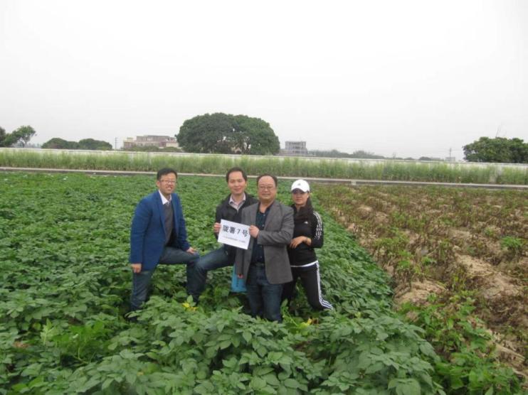 9e99d15ab6767db9d3d84e14414931c