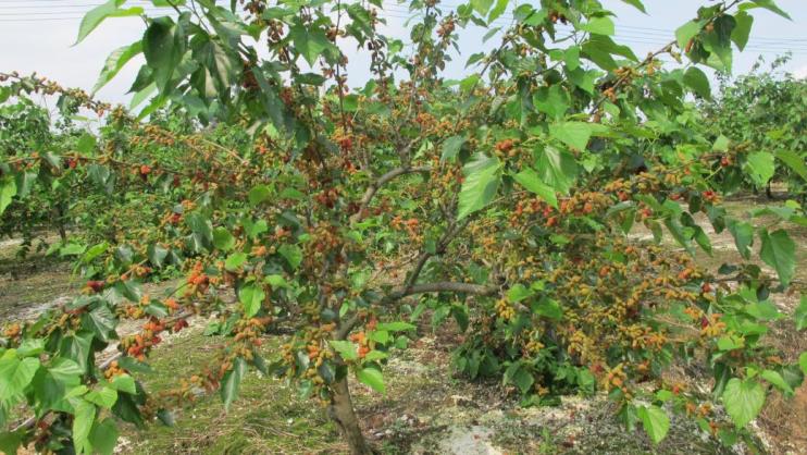 466ebeb2f60dd9487bd35dfdb0bfd3c