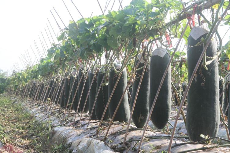 61416cab994811763c7406004bc928f4_