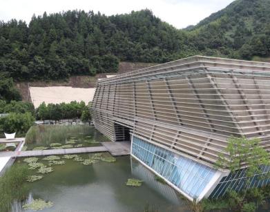 81e8764f1u0e98aec038841a0811c000