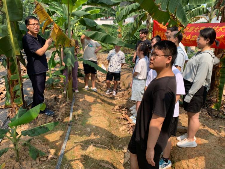 1340244b2c971eea43ded85f4cc8050