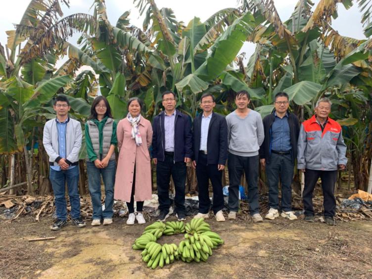 d9c5c0dcd3024863af181c84b4d4a4c