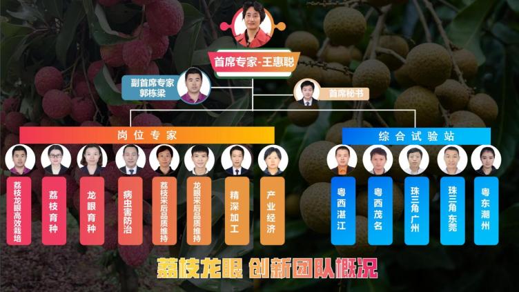 20250312創(chuàng)新團隊概況_03