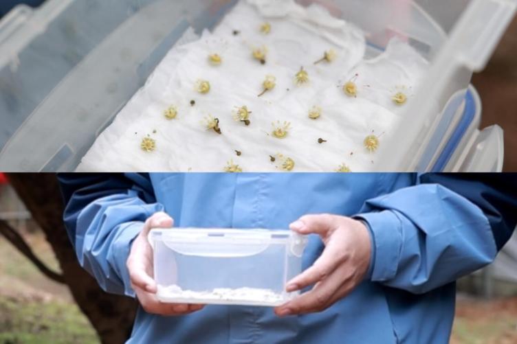 fc7a4d80134a6c1ba9d48658d1a50bf