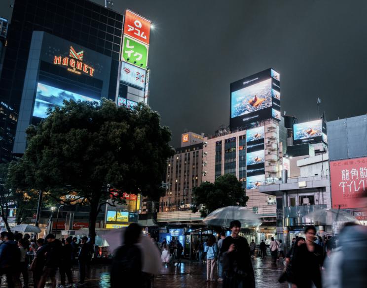 /Users/xinling/Library/Containers/com.kingsoft.wpsoffice.mac/Data/tmp/picturecompress_20250604142144/output_1.pngoutput_1