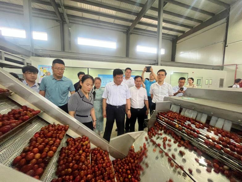 3f0f32b05df035a157e22c0ed415e24