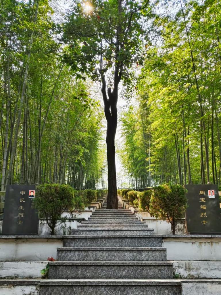 微信圖片_2025-07-28_230759_421