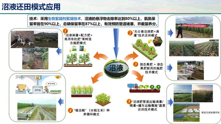 “首席專家談農(nóng)技”技術(shù)展示(1)_05