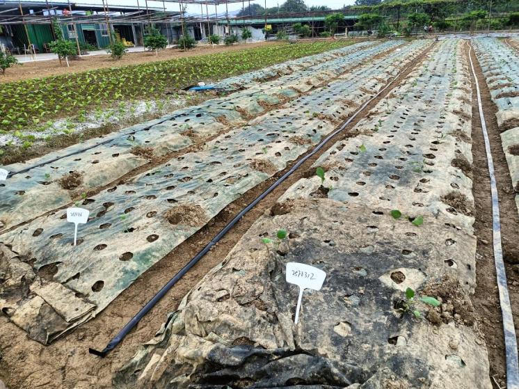 7ab1980c50ff8589353ddc13c1aaeaa4