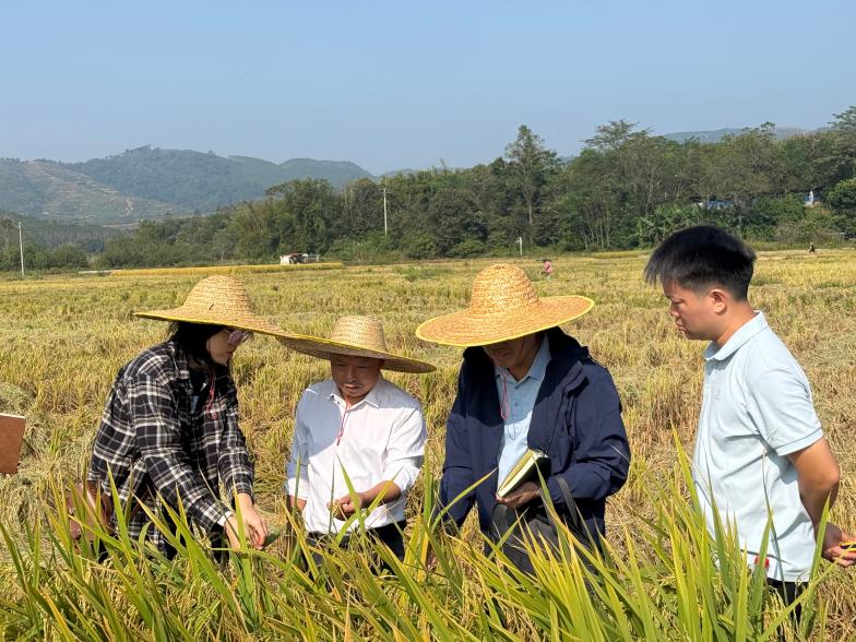 f5d888face686c302f324e35a39f1ff1