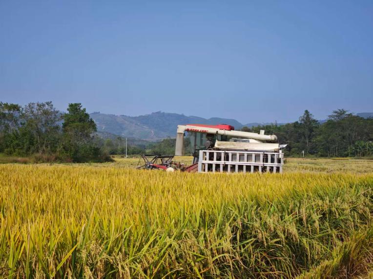 0c7a1c4403e0d50fdebd75aa8c60f0c1